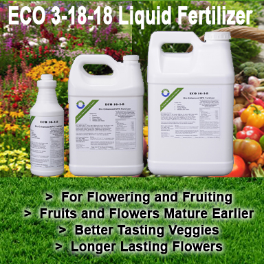 3-18-18 NPK Liquid Fertilizer