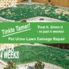 Tinkle Tamer Pet Urine Lawn Damage Repair
