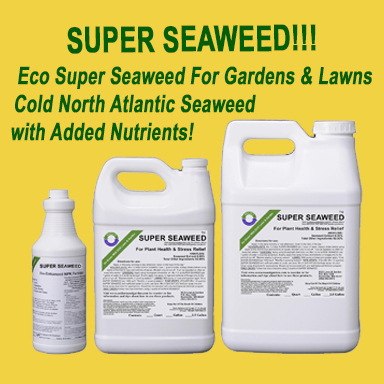 Eco Super Seaweed for Lawn, Gardens, and Soil