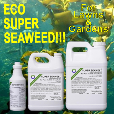 Eco Super Seaweed