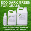 Dark Green For The Greenest Grass